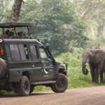 Impressionen Camp Okavango