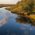 Impressionen Camp Xakanaxa