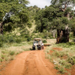 Impressionen Camp Okavango