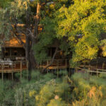 Impressionen Camp Moremi