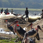 Impressionen Äthiopien Rundreise – Historische Route und Süden (17 Tage)