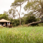 Impressionen Camp Okavango