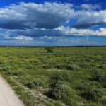 Impressionen Botswana Rundreise The Great Wilderness Journey (11 Tage)