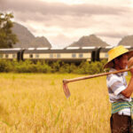Impressionen Asien Bahnreise – Mit dem Eastern & Oriental Express von Singapur nach Bangkok (7 Tage)