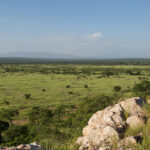 Impressionen Tansania Rundreise – Tansania Traditionell (7 Tage)