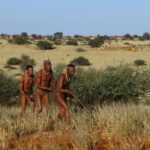 Impressionen Namibia Mietwagenrundreise – Safari Abenteuer (22 Tage)