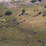 Impressionen Botswana Rundreise – Botswana Explorer (10 Tage)