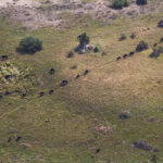 Impressionen Botswana Flugsafari – Familien-Safari (9 Tage)