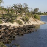 Impressionen Botswana Gruppenreise – Campingtour (7 Tage)