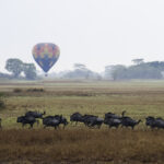 Impressionen Sambia Rundreise – Kafue Abenteuer (10 Tage)
