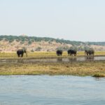 Impressionen Flugsafari Afrika Namibia, Botswana und Simbabwe – Die Wunder Afrikas (9 Tage)