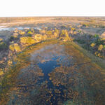 Impressionen Flugsafari Afrika Namibia, Botswana und Simbabwe – Die Wunder Afrikas (9 Tage)