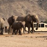 Impressionen Namibia Mietwagenrundreise – Weiten Namibias (17 Tage)