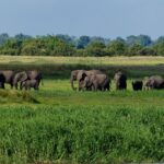 Impressionen Botswana Rundreise – Botswana Explorer (10 Tage)