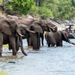 Impressionen Flugsafari Afrika Namibia, Botswana und Simbabwe – Die Wunder Afrikas (9 Tage)
