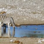 Impressionen Namibia Mietwagenrundreise – Begeisterung Namibia (14 Tage)