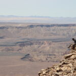 Impressionen Namibia Mietwagenrundreise – Safari Abenteuer (22 Tage)