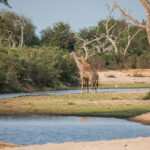 Impressionen Tansania Rundreise – Kaleidoskop (10 Tage)