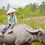 Impressionen Vietnam Rundreise – Der wunderschöne Süden (14 Tage)