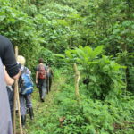 Impressionen Uganda/Kenia Rundreise – Den Berggorillas auf der Spur (11 Tage)