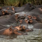 Impressionen Kenia Rundreise – Safari in Kenia (6 Tage)