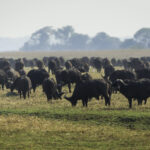 Impressionen Sambia Rundreise – Kafue Abenteuer (10 Tage)