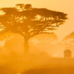 Impressionen Kenia Rundreise – Best Of Safari (8 Tage)