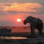 Impressionen Botswana Rundreise The Great Wilderness Journey (11 Tage)