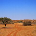 Impressionen Namibia Mietwagenrundreise – Best of Namibia (15 Tage)