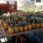 Impressionen La Réunion Rundreise – Mietwagenrundreise Romantische Eindrücke (8 Tage)