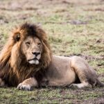 Impressionen Botswana Gruppenreise – Campingtour (7 Tage)