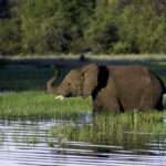 Impressionen Botswana Flugsafari – Botswana Deluxe (8 Tage)