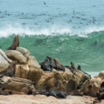 Impressionen Namibia Rundreise – Namibias Klassiker (13 Tage)