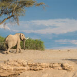 Impressionen Namibia Rundreise – Namibias Klassiker (13 Tage)