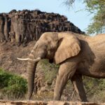 Impressionen Namibia Mietwagenrundreise – Begeisterung Namibia (14 Tage)
