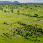 Impressionen Tansania Flugsafari – Top of Tansania (11 Tage)