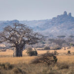 Impressionen Tansania Rundreise – Kaleidoskop (10 Tage)