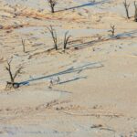 Impressionen Namibia Flugsafari – Namibia Naturwunder (8 Tage)
