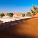 Impressionen Namibia Mietwagenrundreise – Begeisterung Namibia (14 Tage)