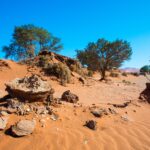 Impressionen Namibia Rundreise – Abenteuer & Komfort (12 Tage)