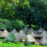 Impressionen Simbabwe & Botswana Gruppenreise – Elfenbein Route (15 Tage)