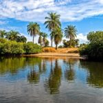 Impressionen Simbabwe & Botswana Gruppenreise – Elfenbein Route (15 Tage)