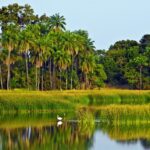 Impressionen Simbabwe & Botswana Gruppenreise – Elfenbein Route (15 Tage)