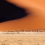 Impressionen Namibia Mietwagenrundreise – Weiten Namibias (17 Tage)