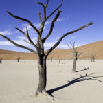 Impressionen Namibia Gruppenreise – Das schönste von Namibia (13 Tage)