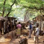 Impressionen Sambia Gruppenreise – Auf den Spuren der Entdecker (22 Tage)