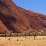 Impressionen Australien Bahnreise – Mit den legendären Zügen The Gan und Indian Pacific durch Australien (18 Tage)