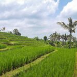 Impressionen Indonesien Rundreise – Ein Inselerlebnis von Bali über Flores bis Lombok (21 Tage)