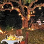 Impressionen Tansania Flugsafari – Tansania Deluxe (8 Tage)