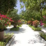 Impressionen Embudu Village